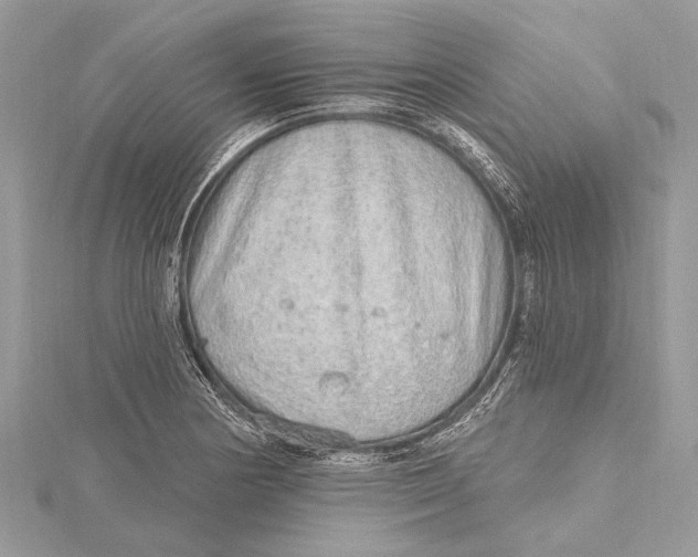 X0000115631178200912011434