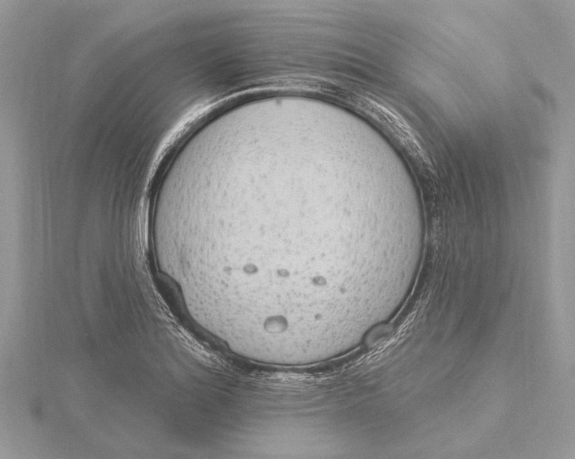 X0000115631180200912011434