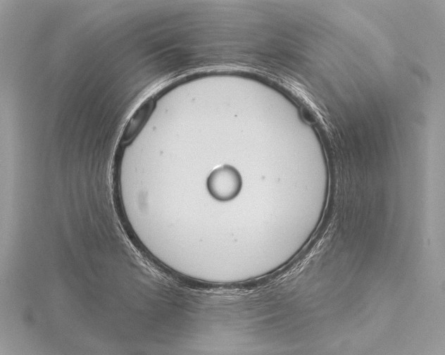 X0000115631181200912011434