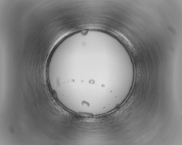 X0000115631182200912011434