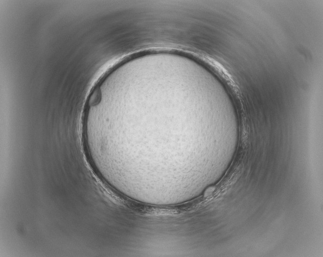 X0000115631183200912011434