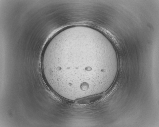 X0000115631184200912011434