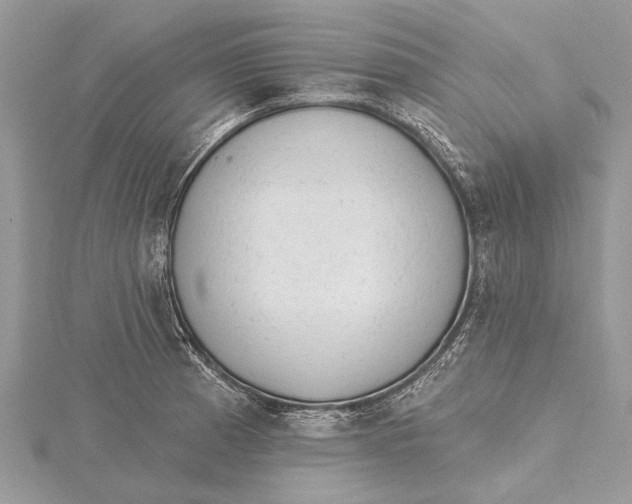 X0000115631185200912011434