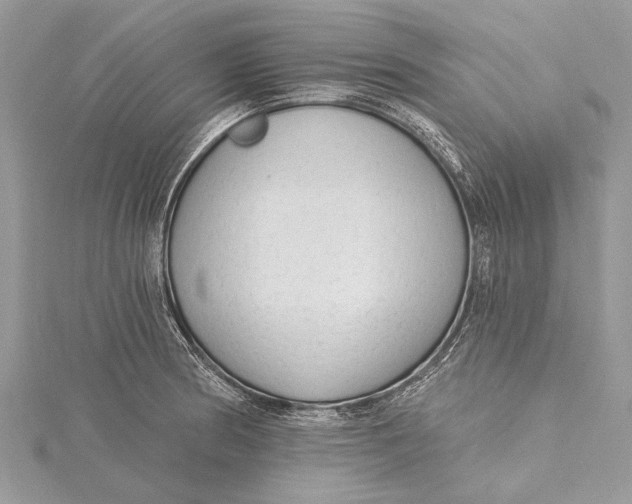 X0000115631186200912011434