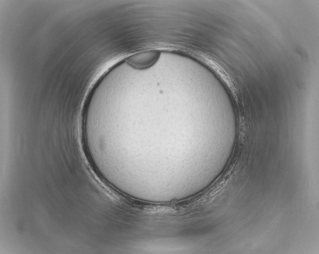 X0000115631187200912011434