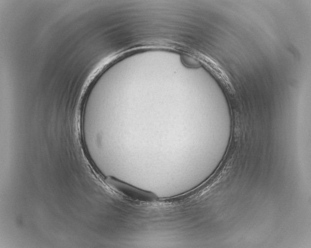 X0000115631188200912011434