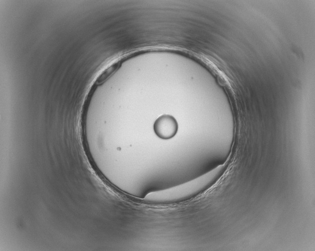 X0000115631189200912011434