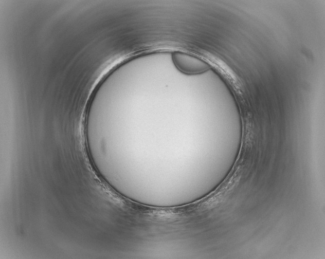 X0000115631190200912011434