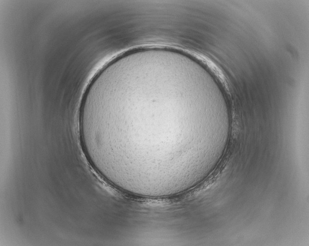 X0000115631191200912011434