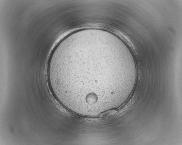 X0000115631192200912011434