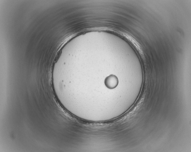 X0000115631193200912011434