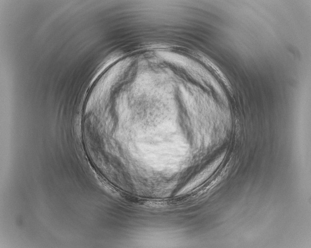 X0000115631194200912011434