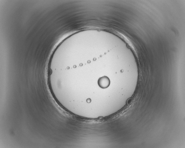 X0000115631195200912011434