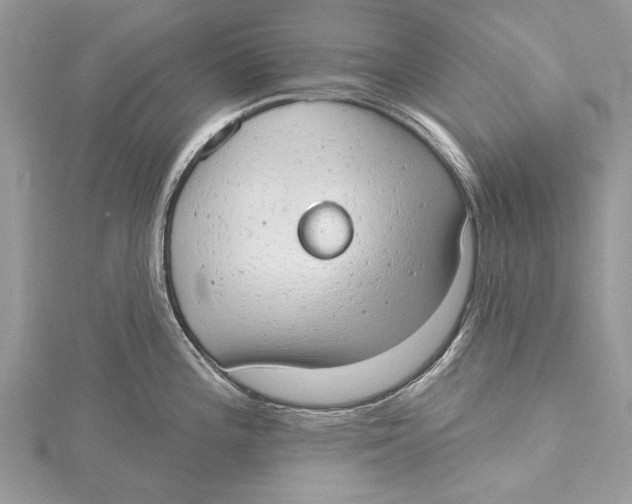 X0000115631196200912011434