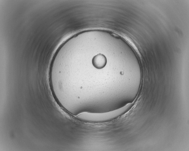 X0000115631197200912011434