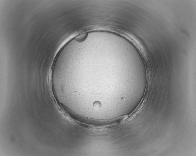 X0000115631198200912011434