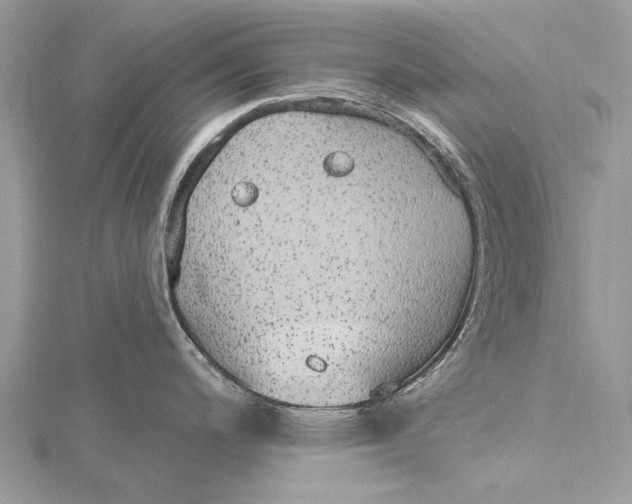 X0000115631200200912011434