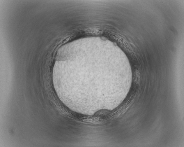 X0000115631201200912011433