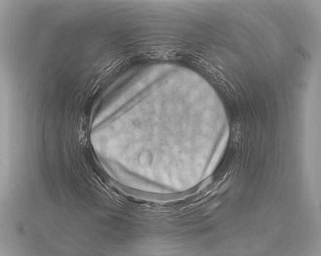 X0000115631202200912011433