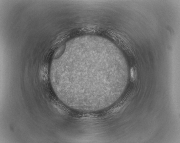 X0000115631203200912011433