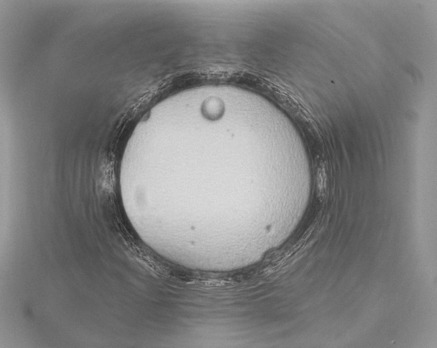 X0000115631204200912011433