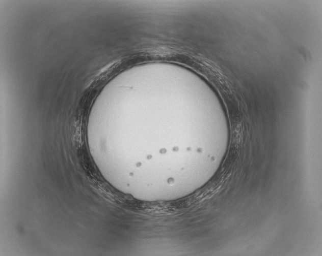 X0000115631205200912011433