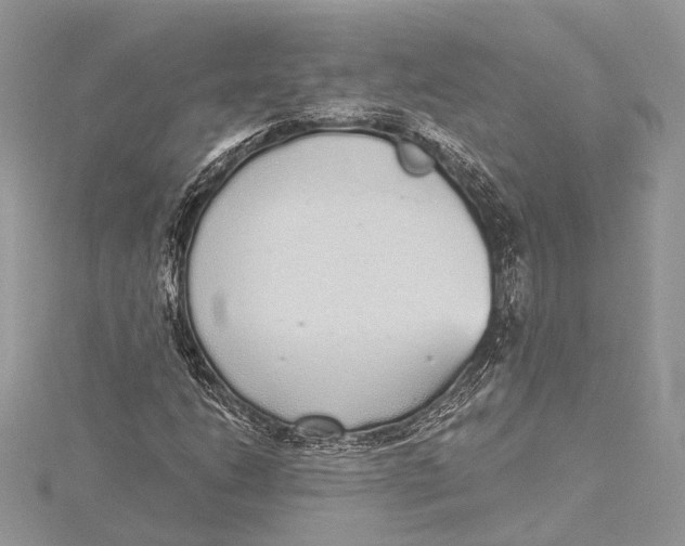 X0000115631206200912011433