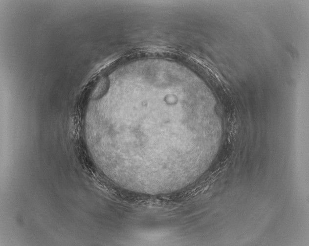 X0000115631207200912011433