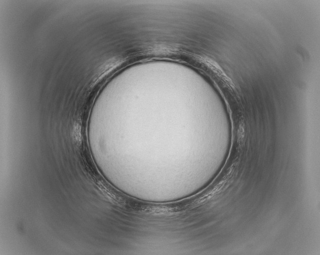 X0000115631209200912011433