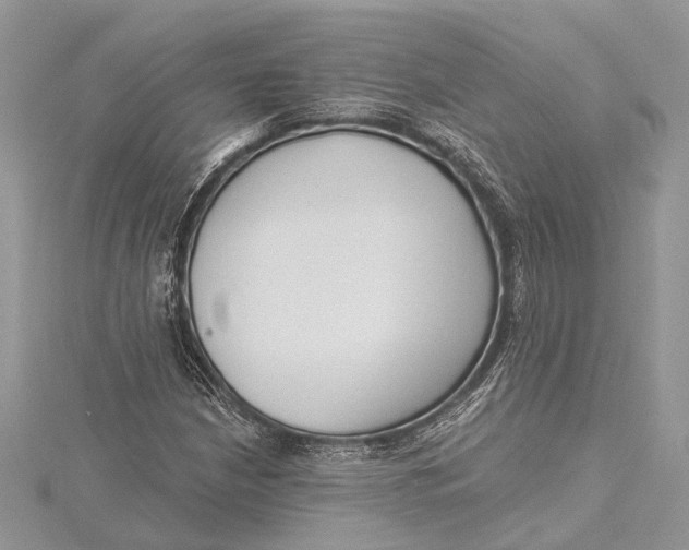 X0000115631210200912011433