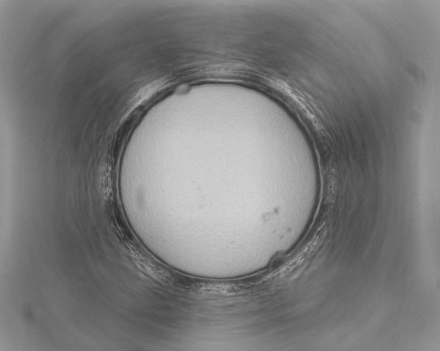 X0000115631211200912011433