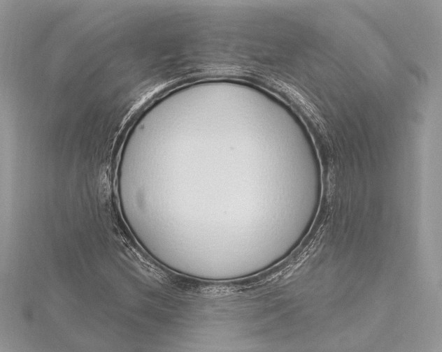 X0000115631212200912011433