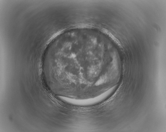 X0000115631213200912011433