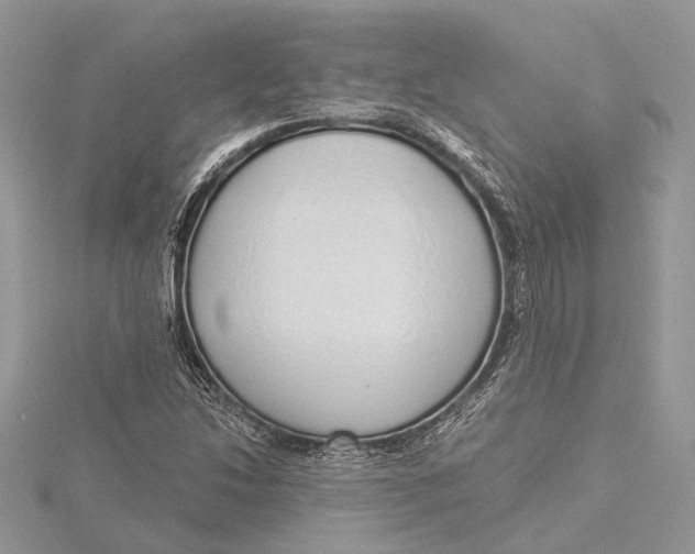 X0000115631214200912011433