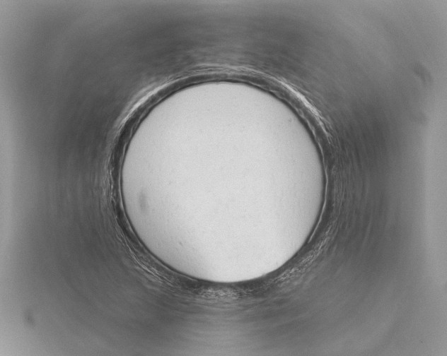 X0000115631215200912011433