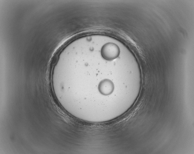 X0000115631216200912011433