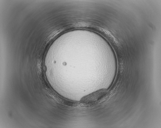 X0000115631217200912011433