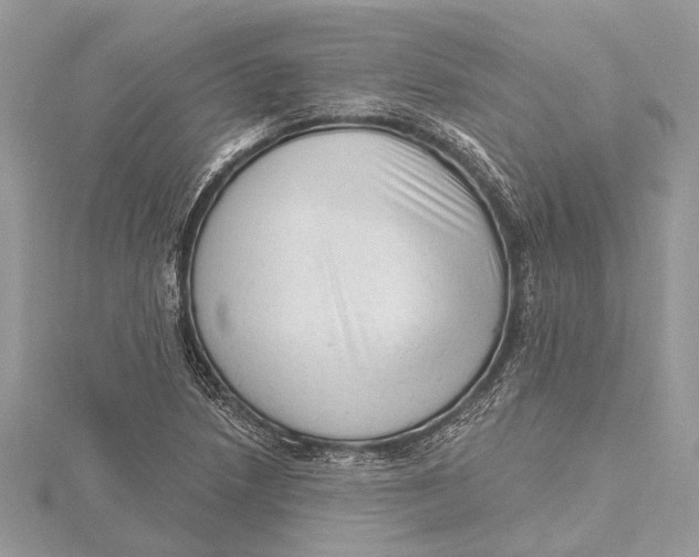 X0000115631218200912011433