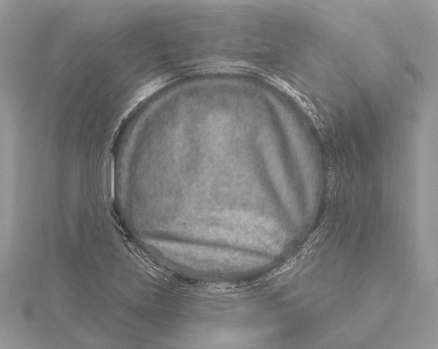 X0000115631219200912011433