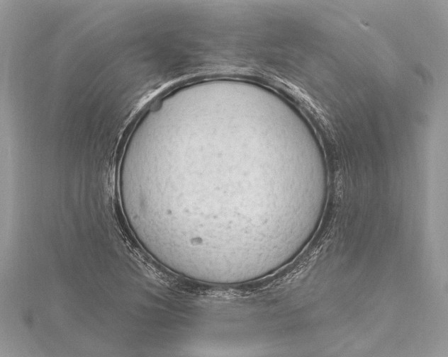 X0000115631220200912011433