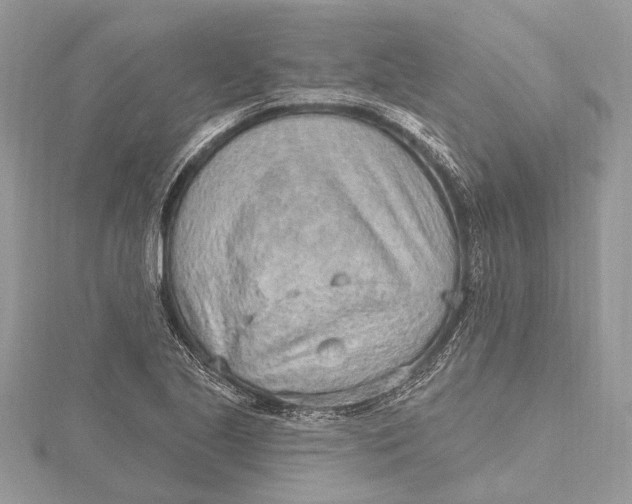 X0000115631221200912011433