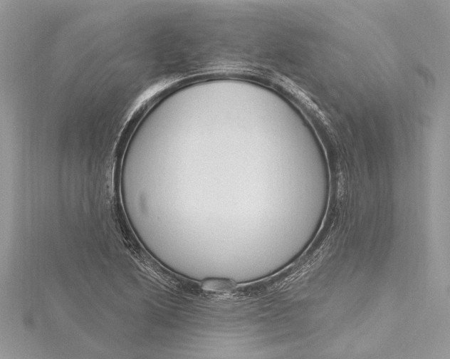 X0000115631222200912011433