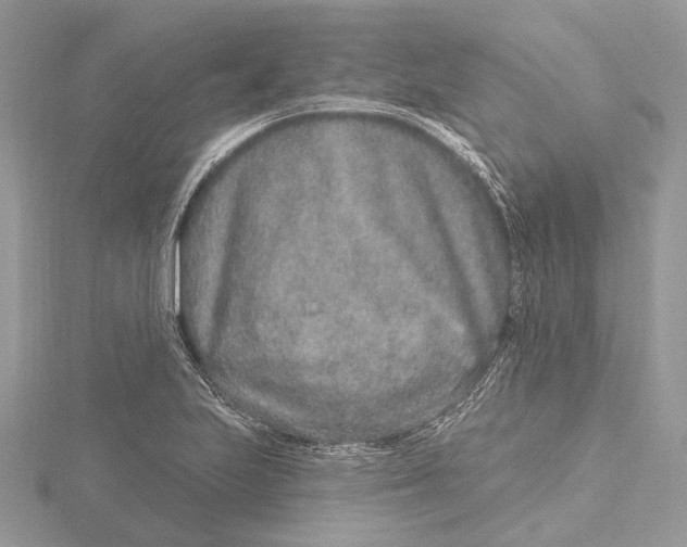 X0000115631223200912011433