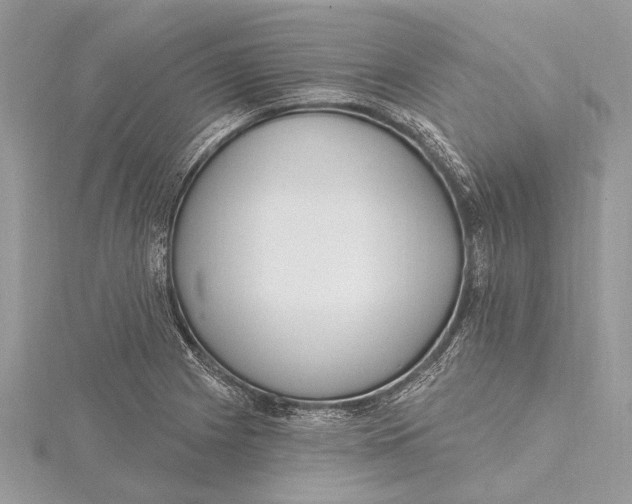 X0000115631225200912011433