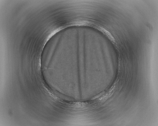 X0000115631226200912011433