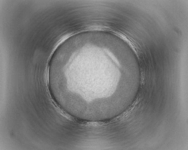 X0000115631227200912011433