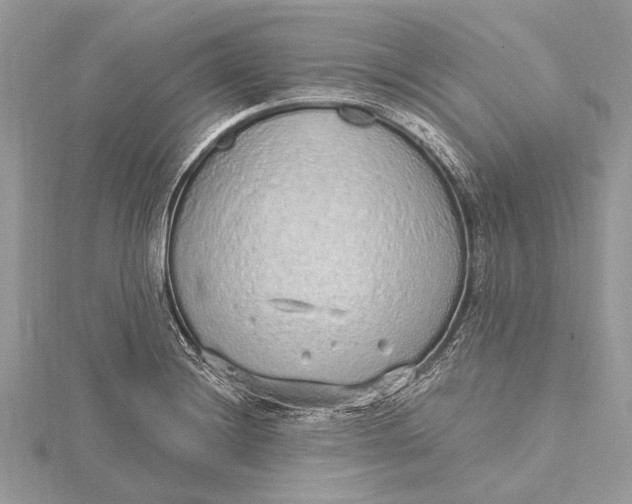 X0000115631228200912011433