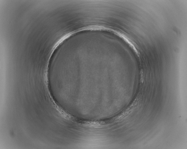 X0000115631229200912011433