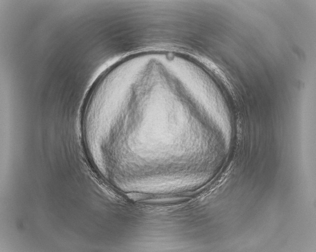 X0000115631230200912011433