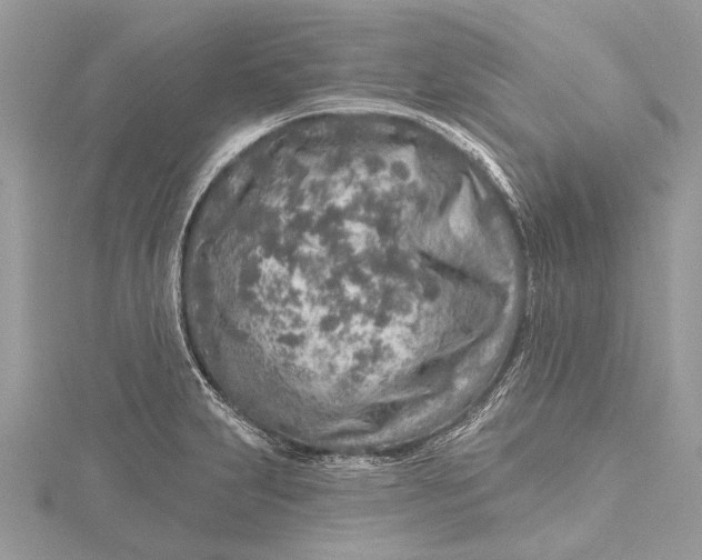 X0000115631231200912011433